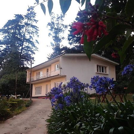 Park View Guest House 努沃勒埃利耶 外观 照片