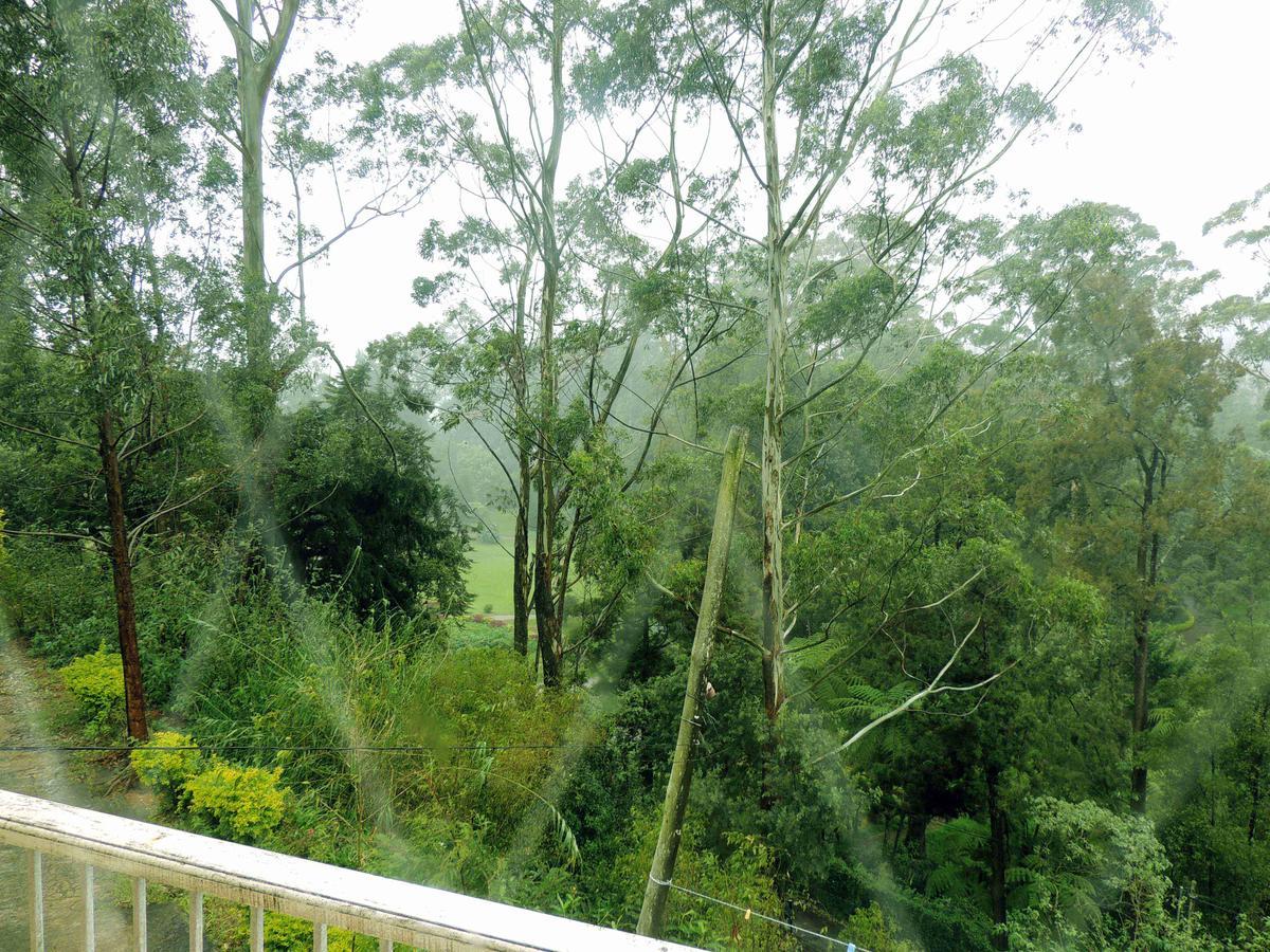 Park View Guest House 努沃勒埃利耶 外观 照片