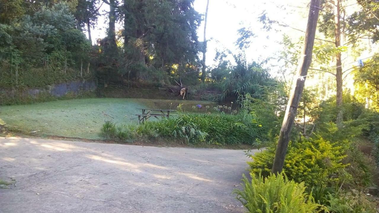 Park View Guest House 努沃勒埃利耶 外观 照片